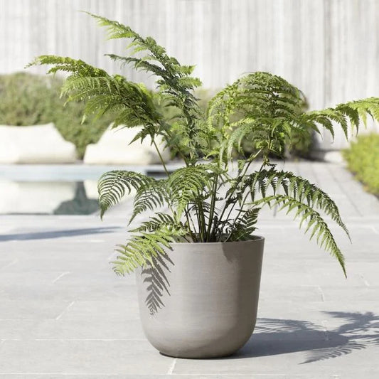 Oslo Planter w/ Saucer