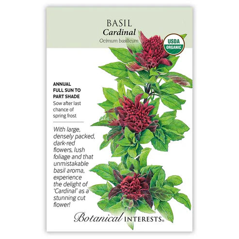 Basil 'Cardinal'