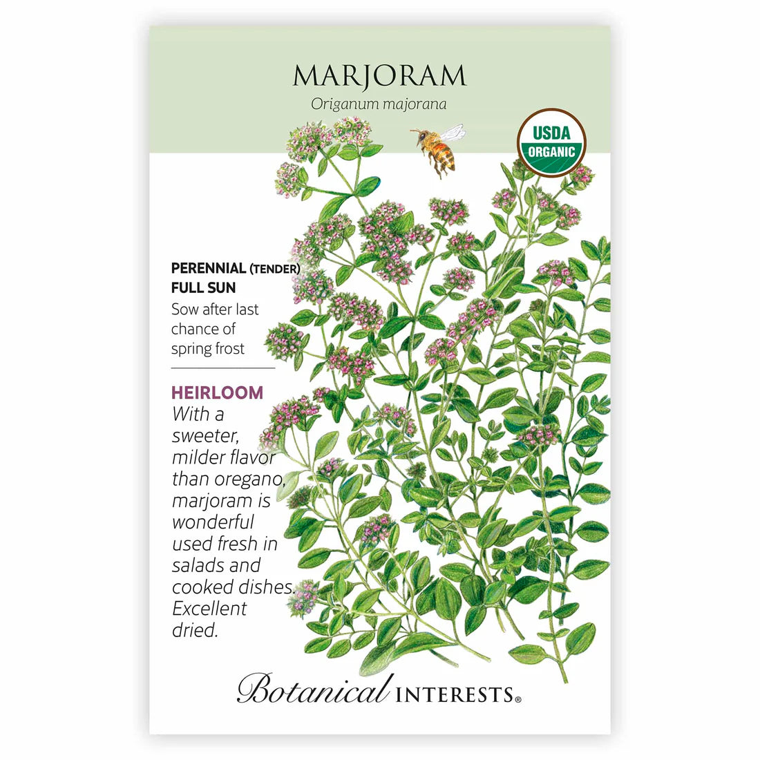 Marjoram