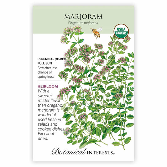 Marjoram