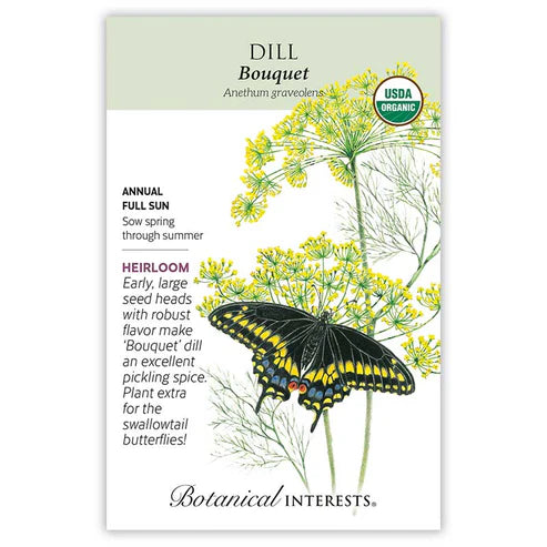 Dill 'Bouquet'