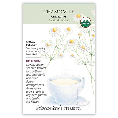 Chamomile 'German'