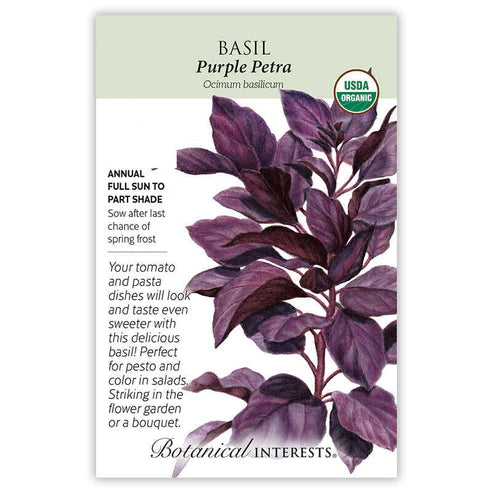 Basil 'Purple Petra'