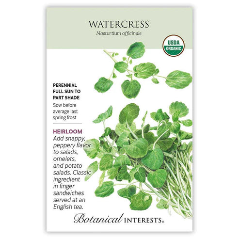 Watercress