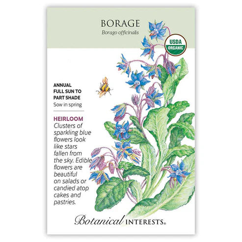 Borage