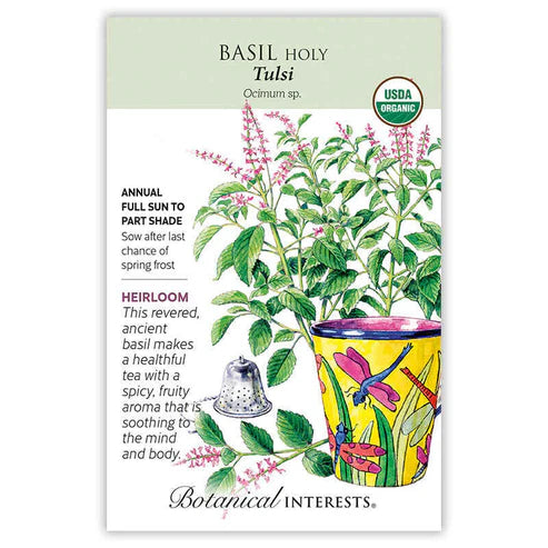 Basil 'Holy/Tulsi'