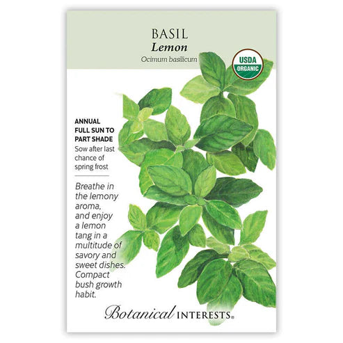 Basil 'Lemon' Organic