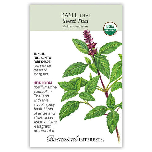 Basil 'Thai Sweet'