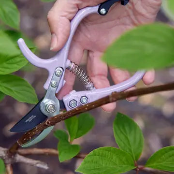 Modern Sprout Garden Pruners