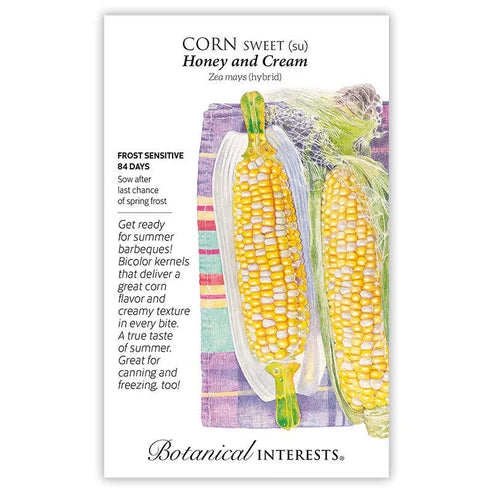 Corn 'Sweet Bicolor Honey Cream'