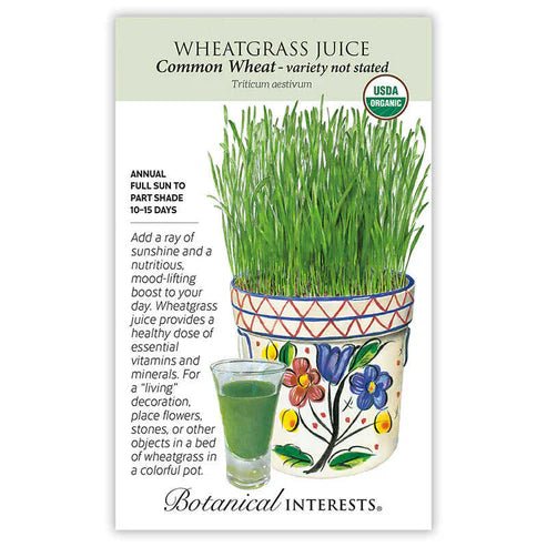 Wheatgrass
