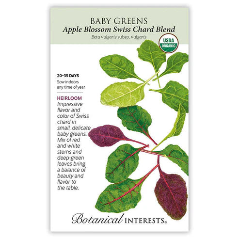Baby Greens 'Swiss Chard'