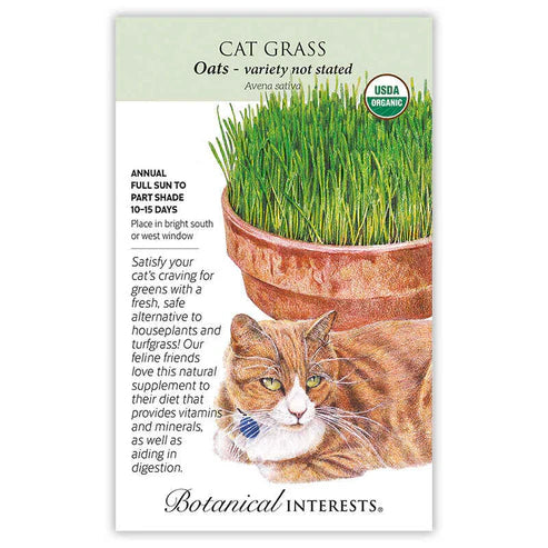 Cat Grass