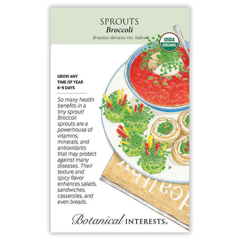 Sprouts 'Broccoli'