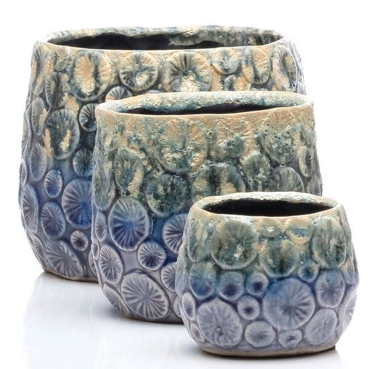 ALF Spectra Petits Pot