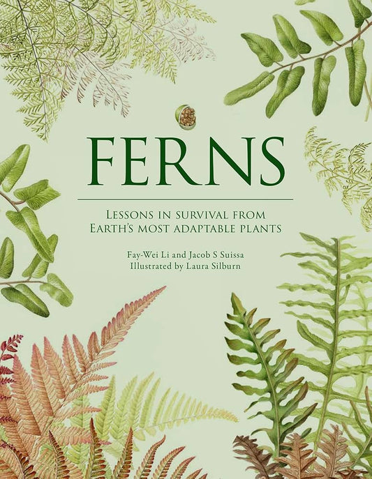Ferns FAIRE