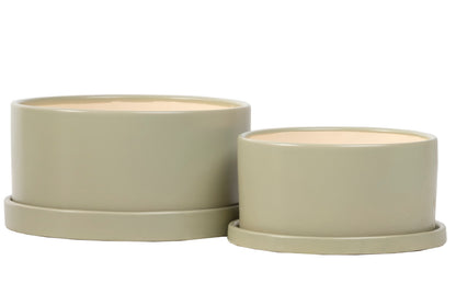 ALF Dish Garden w/ Attached Saucer