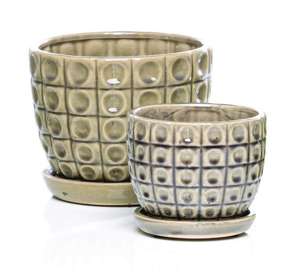 ALF Omni Petit Pot w/ Saucer