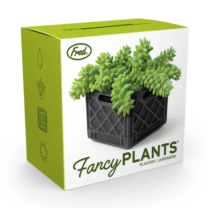 Fancy Plants Planter