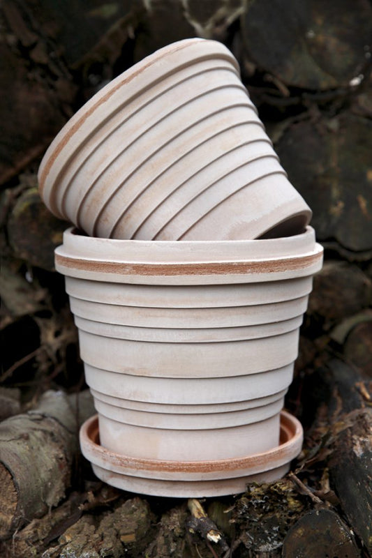 Bergs 'Planet' Pot w/ Saucer