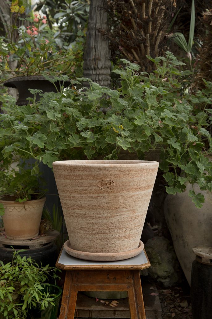 Bergs 'Julie' Pot w/ Saucer