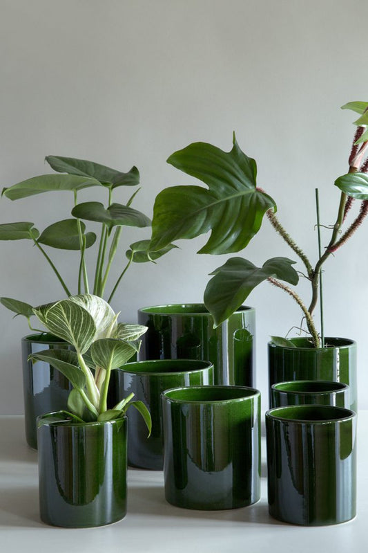 Bergs 'Romeo' Pot