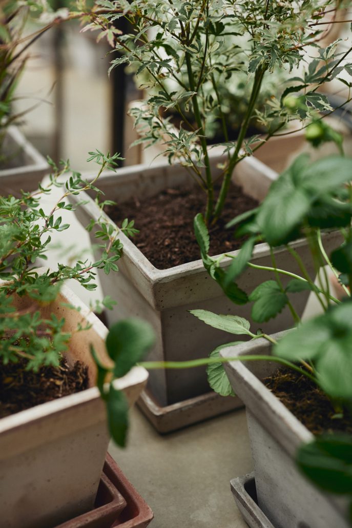 Bergs 'Gaia' Pot