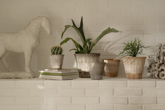 Bergs 'Atlas' Pot