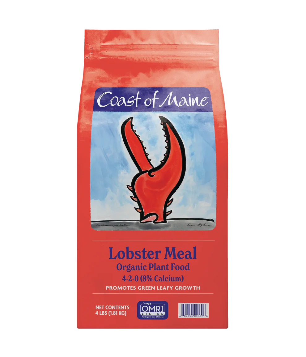 Coast of Maine Lobster Meal BFG