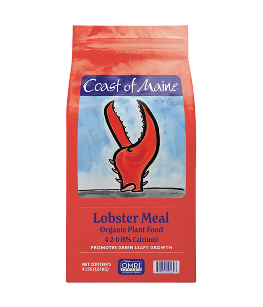 Coast of Maine Lobster Meal BFG