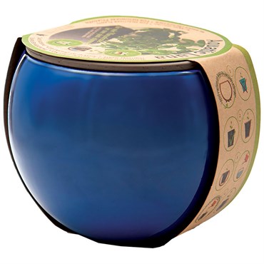 Ceramo Self-Watering Aquatic Planter