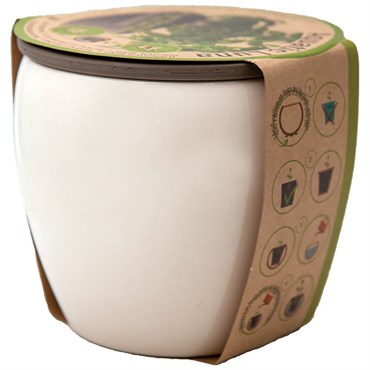 Ceramo Self-Watering Aquatic Planter
