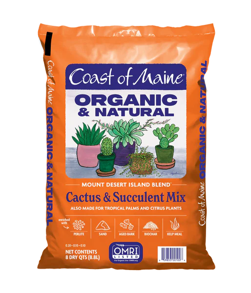 Coast of Maine Cactus & Succulent Mix