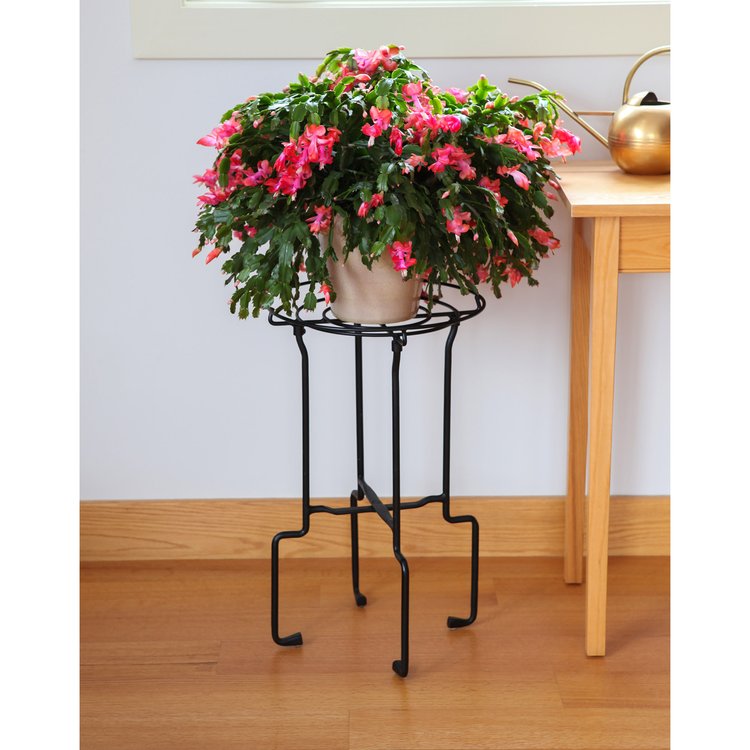 Achla Catalina Plant Stand