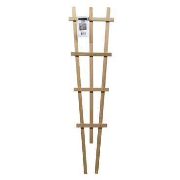 Heritage Wood Flared Espalier