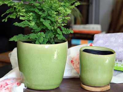 Jewel Freeform Planter