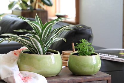 Jewel Freeform Bowl