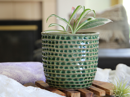 Honeycomb Planter