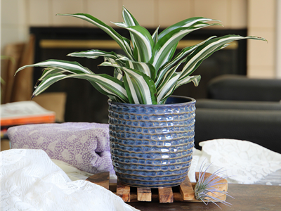 Honeycomb Planter