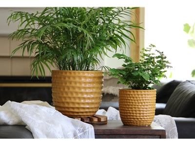 Honeycomb Planter