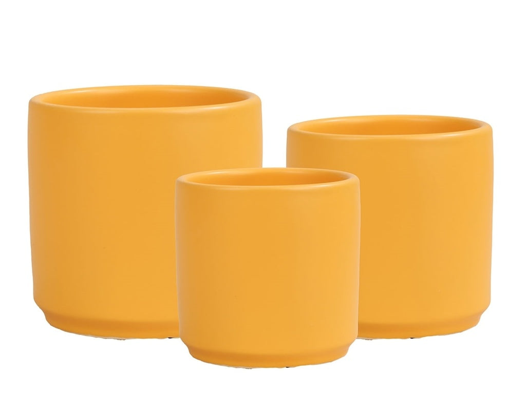 Arlo Planter