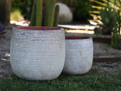 Zinnia Planter