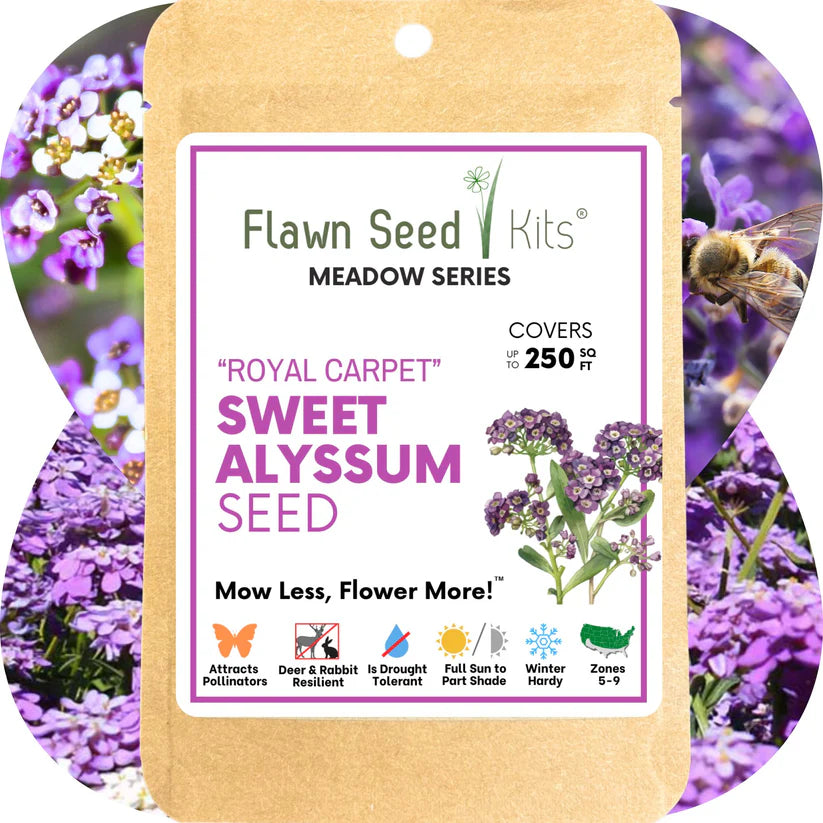 Flawn Sweet Alyssum Pouch