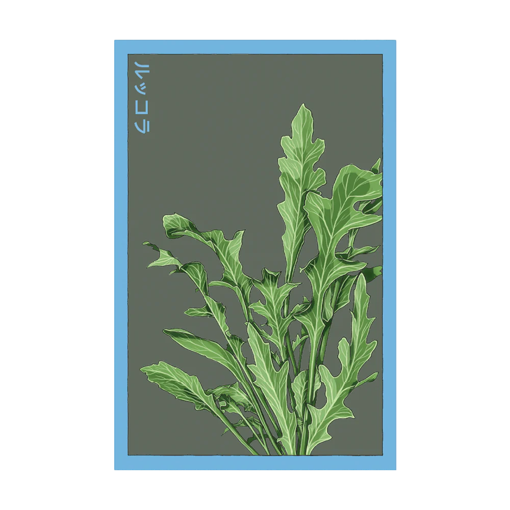 Arugula Seed Packet