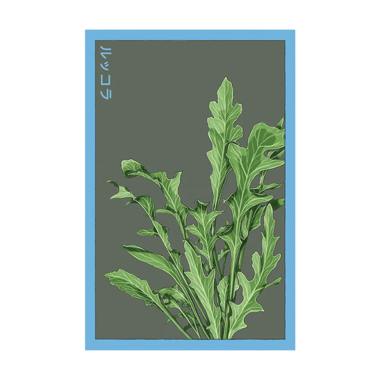 Arugula Seed Packet
