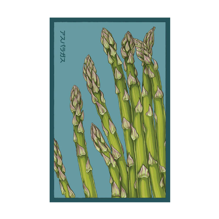 Shido Asparagus 'Mary Washington' Seed Packet