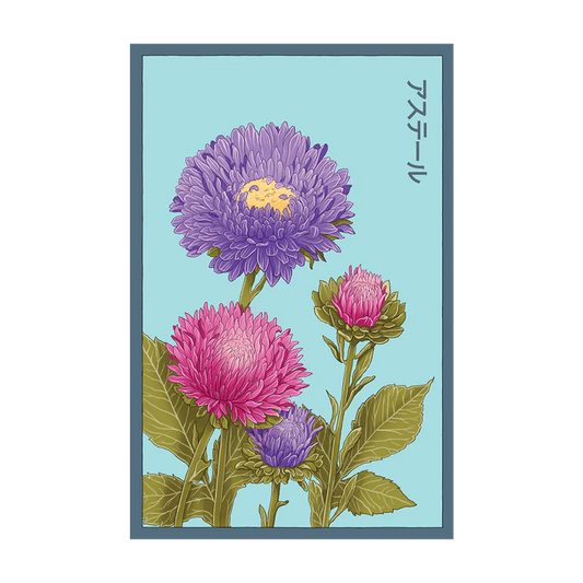 Aster Flower Seed Packet