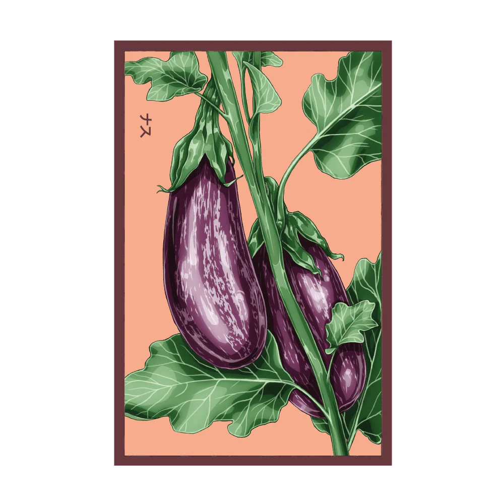 Aubergine 'Jewel Marble' Seed Packet