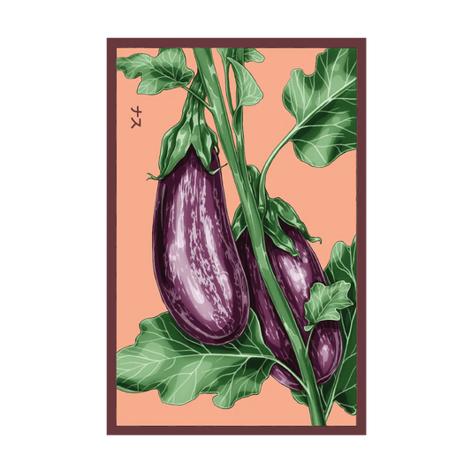 Aubergine 'Jewel Marble' Seed Packet