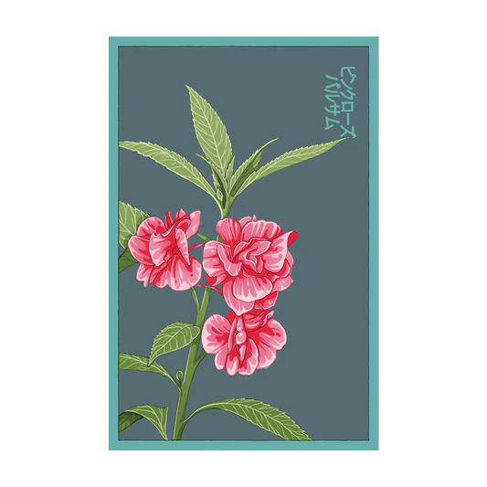 Pink Rose Balsam Seed Packet